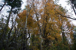 photo thumbnail #10