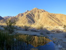 photo thumbnail #10