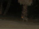 photo thumbnail #12