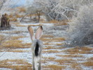 photo thumbnail #11