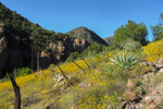 photo thumbnail #2