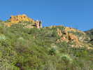 photo thumbnail #3
