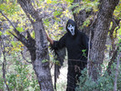photo thumbnail #11
