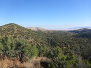 photo thumbnail #11