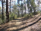 photo thumbnail #10