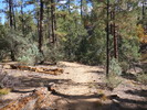 photo thumbnail #13