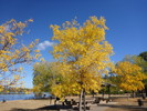 photo thumbnail #9