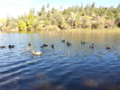 photo thumbnail #14