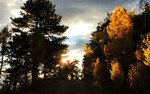 photo thumbnail #4
