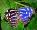 photo thumbnail #8