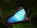 photo thumbnail #10