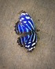 photo thumbnail #13