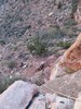 photo thumbnail #14