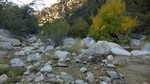 photo thumbnail #7