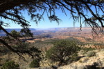 photo thumbnail #13