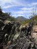 photo thumbnail #10