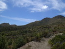 photo thumbnail #12