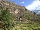 photo thumbnail #14