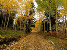 photo thumbnail #5