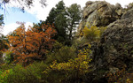 photo thumbnail #9