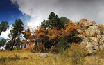 photo thumbnail #11