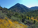 photo thumbnail #6