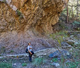 photo thumbnail #7