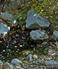 photo thumbnail #11