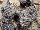 photo thumbnail #9