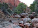 photo thumbnail #12