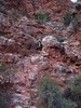 photo thumbnail #14