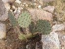 photo thumbnail #11
