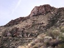 photo thumbnail #14