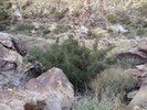 photo thumbnail #15