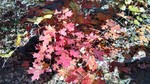 photo thumbnail #6