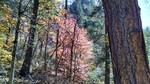 photo thumbnail #8
