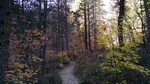 photo thumbnail #10