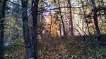 photo thumbnail #12