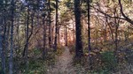 photo thumbnail #13