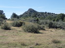 photo thumbnail #1