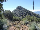 photo thumbnail #4