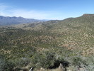 photo thumbnail #10