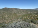 photo thumbnail #11