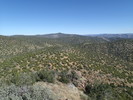 photo thumbnail #12