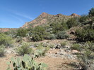 photo thumbnail #5