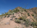 photo thumbnail #8