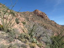 photo thumbnail #9