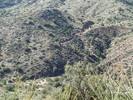 photo thumbnail #10