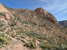 photo thumbnail #12