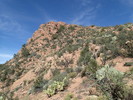 photo thumbnail #14
